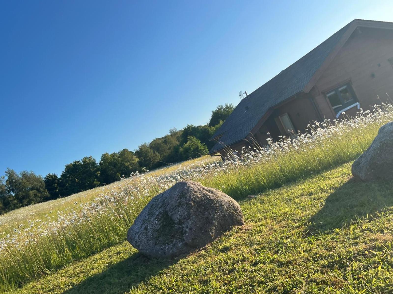 Cuddfan Lodge On A Gorgeous Private Lake Newport  Exteriör bild